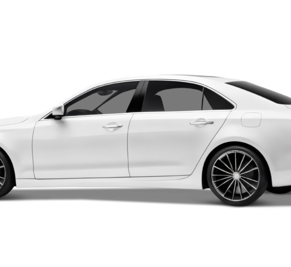 FLEET BENZ